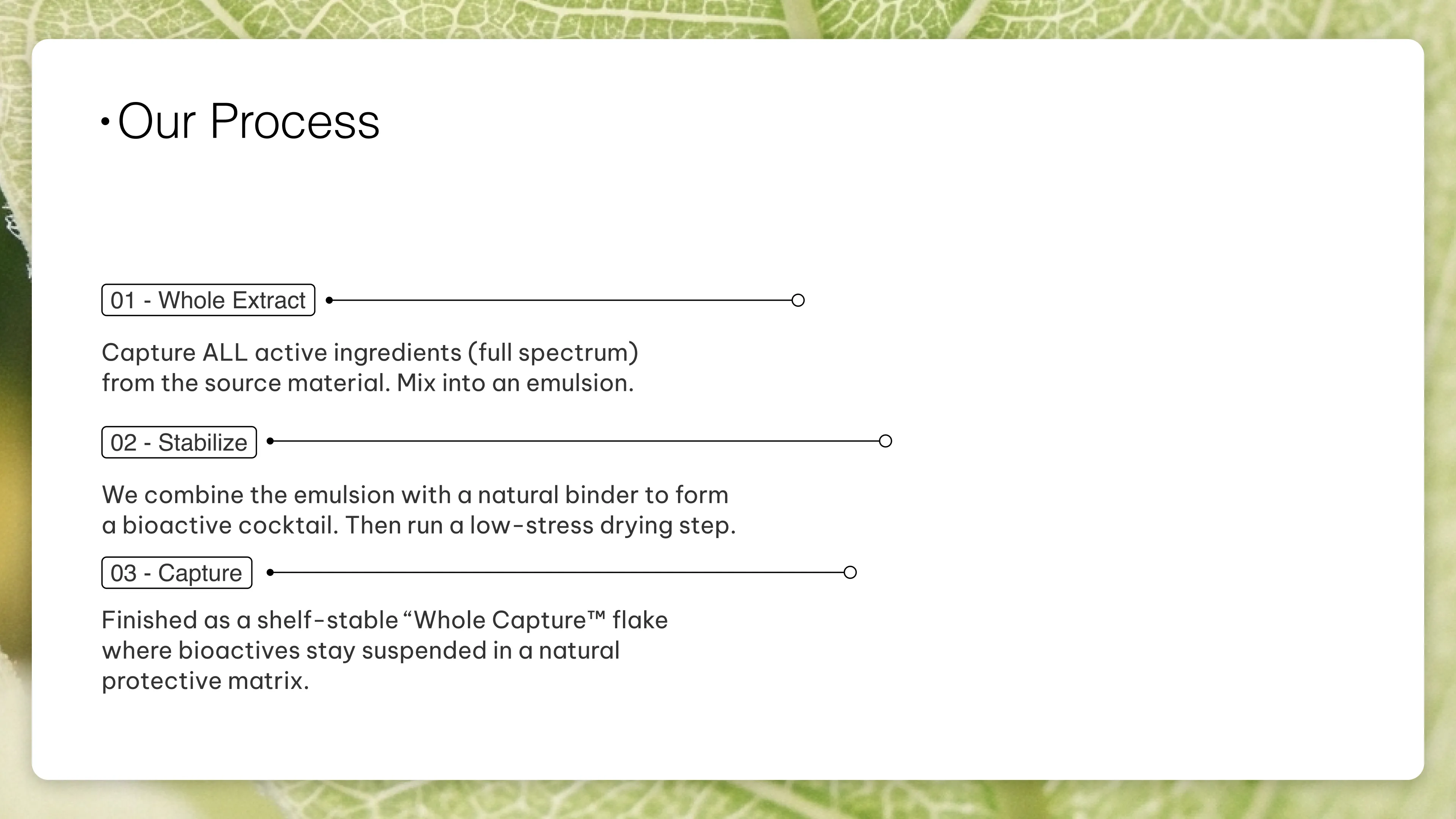 Whole Capture slide 3